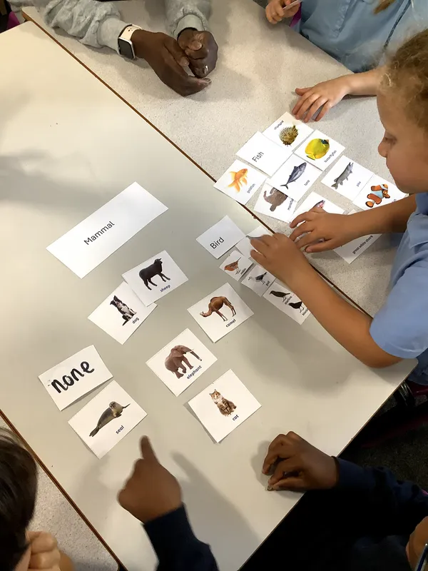 Autumn - image 7 Autumn - image 7