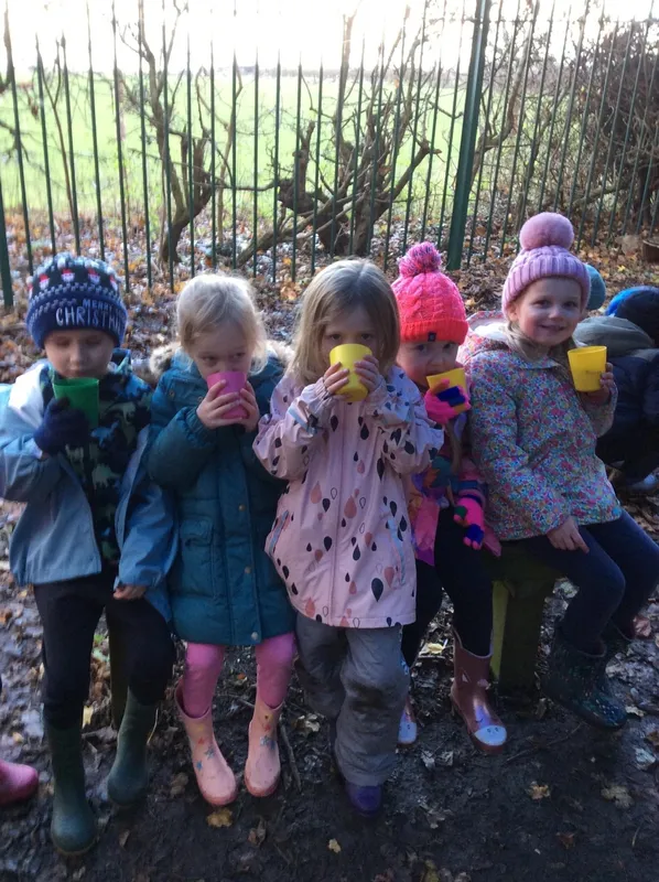 Gallery - created at 2023-03-03 13:08:07 - image 5