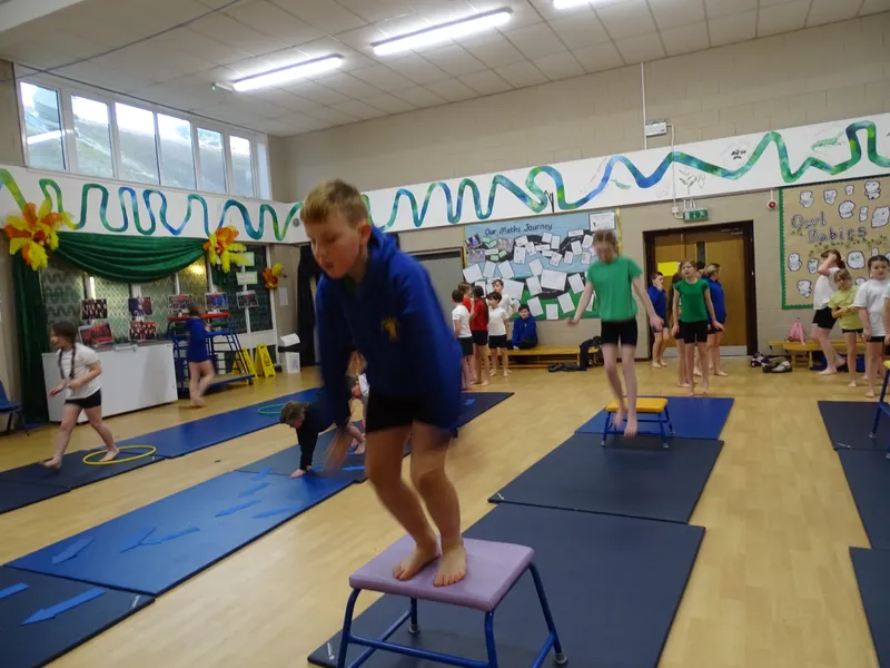 Ospreys Gymnastics Skills - image 11 Ospreys Gymnastics Skills - image 11