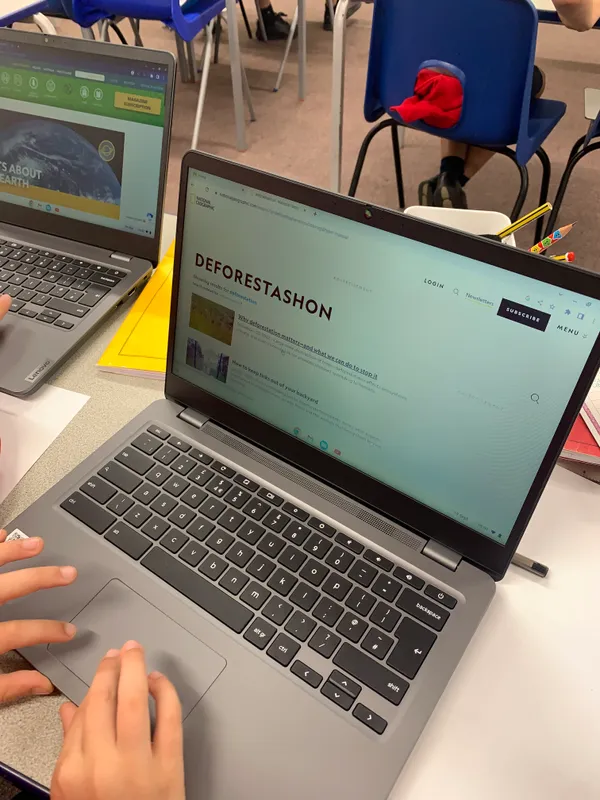 Gallery - created at 2023-09-19 19:33:13 - image 2