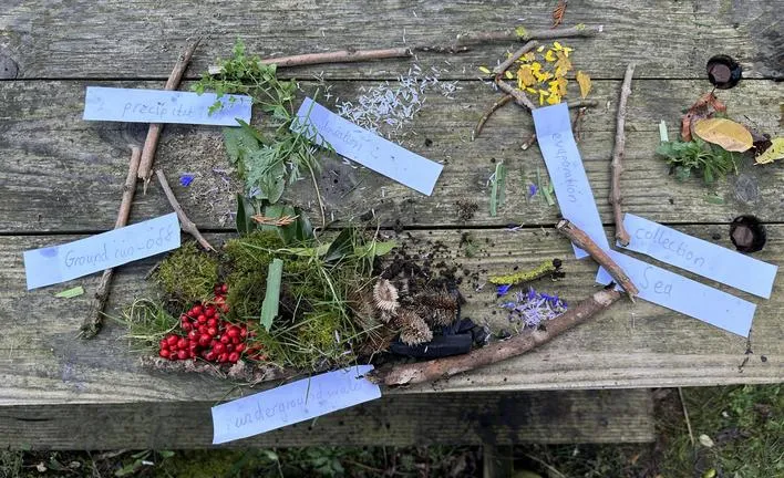 Autumn 2023 - 15th November - Saplings - The Water Cycle - image 3 Autumn 2023 - 15th November - Saplings - The Water Cycle - image 3