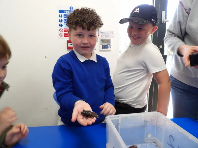 Y3 Yorkshire Wildlife Park Trip - image 55