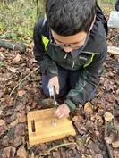 Forest School 82 - image 2 Forest School 82 - image 2