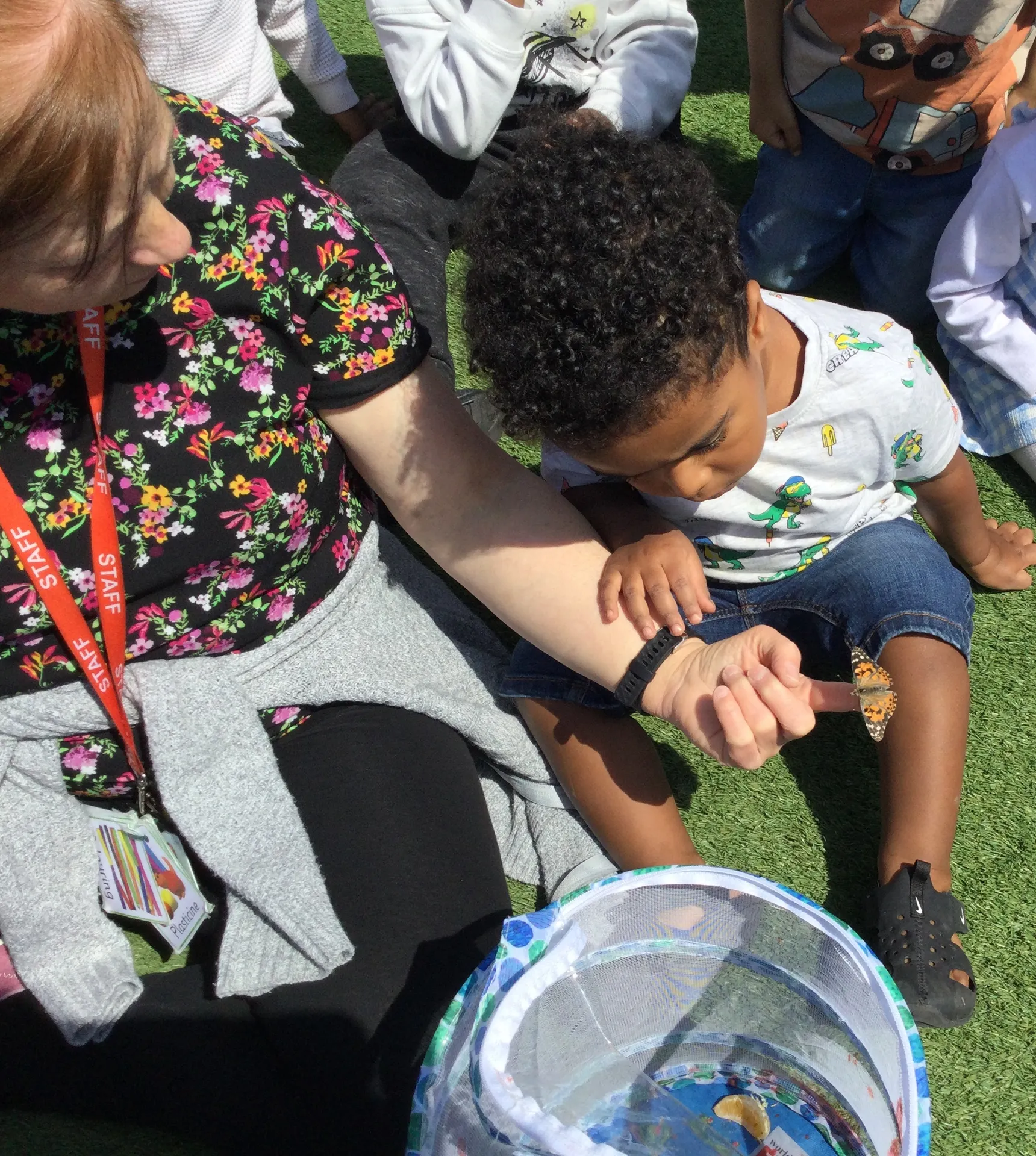 Life Cycles - image 6