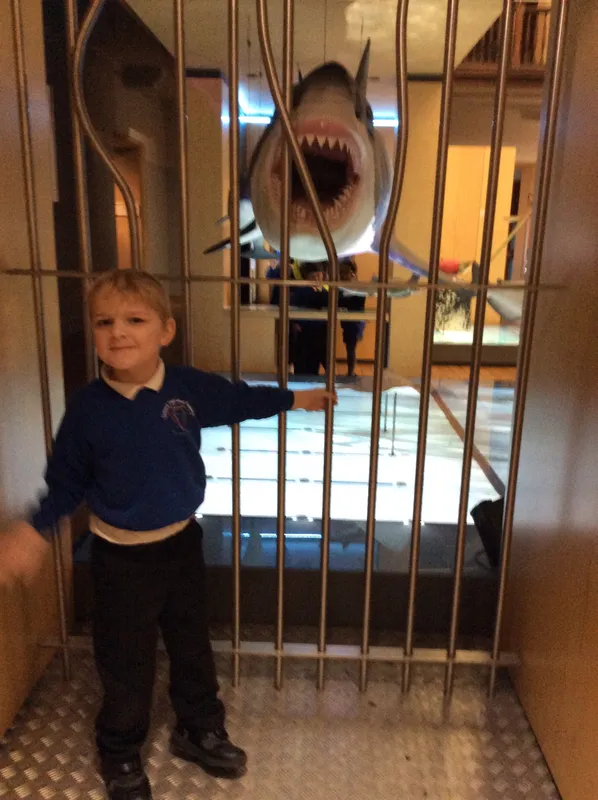 Gallery - created at 2024-02-09 11:53:37 - image 47