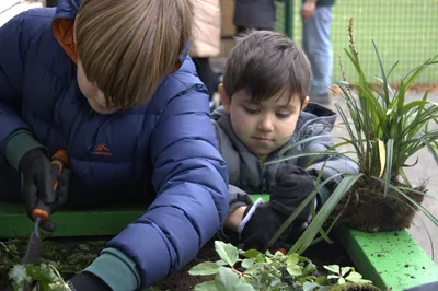 Gallery - created at 2025-11-18 16:17:01 - image 6