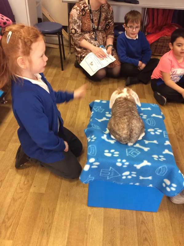 Gallery - created at 2024-03-05 13:52:56 - image 66 Gallery - created at 2024-03-05 13:52:56 - image 66