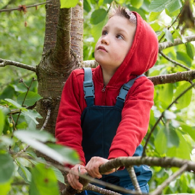 Nursery and Reception
