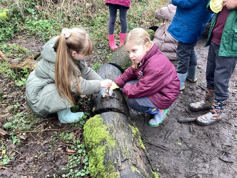 Palm drill decorations  - image 13