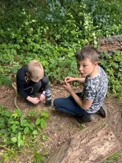 Gallery - created at 2023-06-27 16:41:06 - image 2