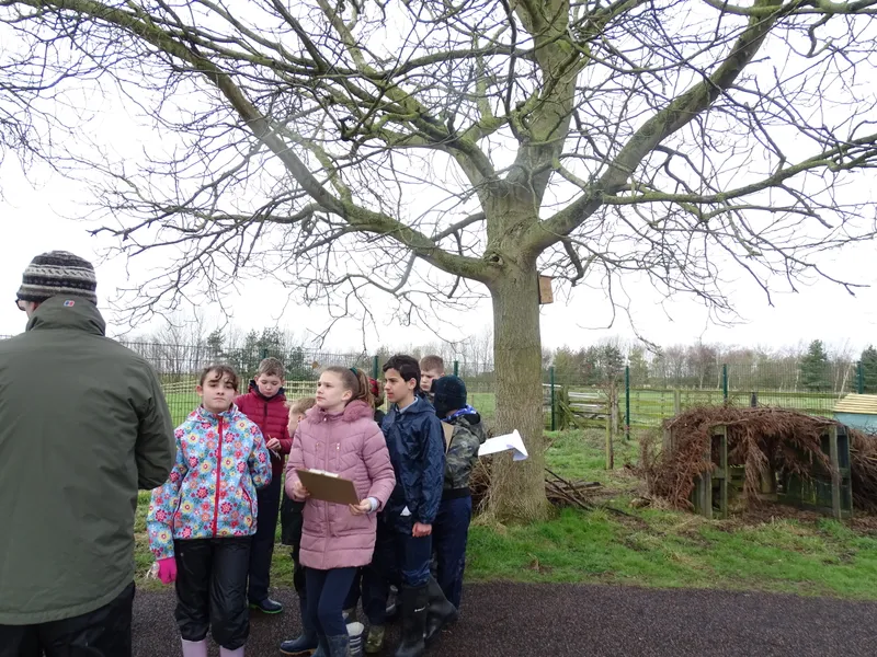 Gallery - created at 2021-03-17 13:55:13 - image 8 Gallery - created at 2021-03-17 13:55:13 - image 8