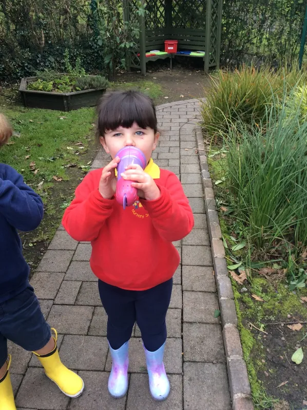 Gallery - created at 2019-09-27 16:10:58 - image 39 Gallery - created at 2019-09-27 16:10:58 - image 39