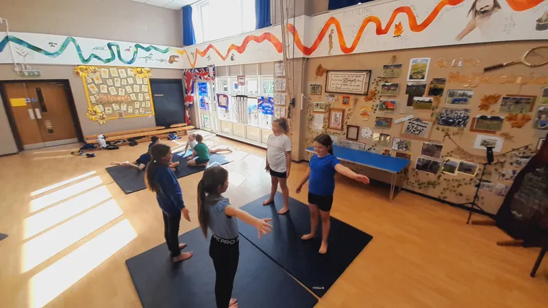 Ospreys have been learning about mirroring and matching in gymnastics - image 7 Ospreys have been learning about mirroring and matching in gymnastics - image 7