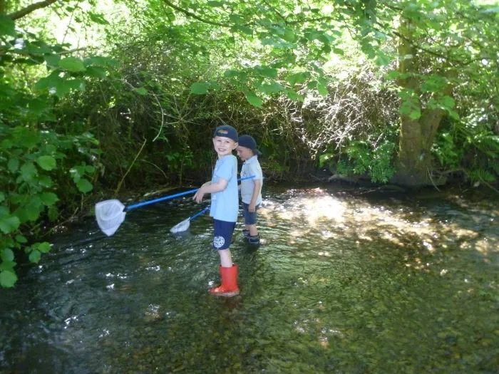 Gallery - created at 2018-07-13 21:33:12 - image 18 Gallery - created at 2018-07-13 21:33:12 - image 18