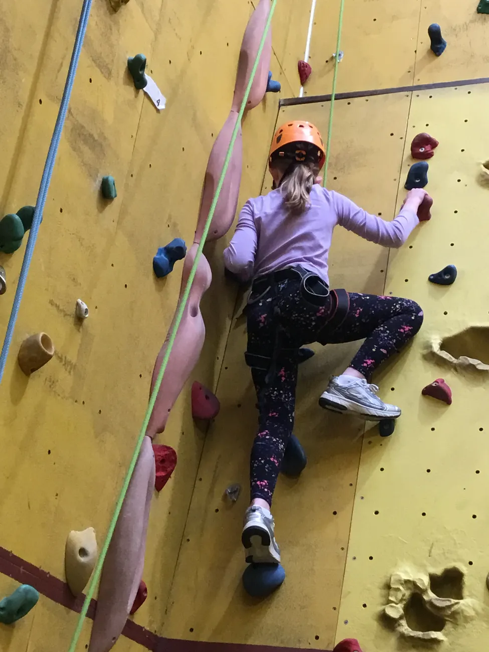 Gallery - created at 2024-09-19 19:48:04 - image 14 Gallery - created at 2024-09-19 19:48:04 - image 14