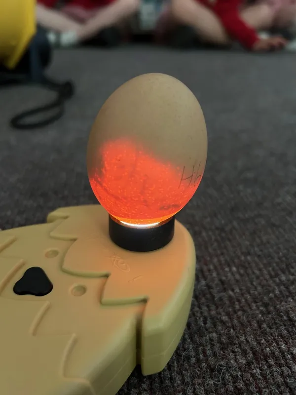 Gallery - created at 2025-05-10 11:28:10 - image 11