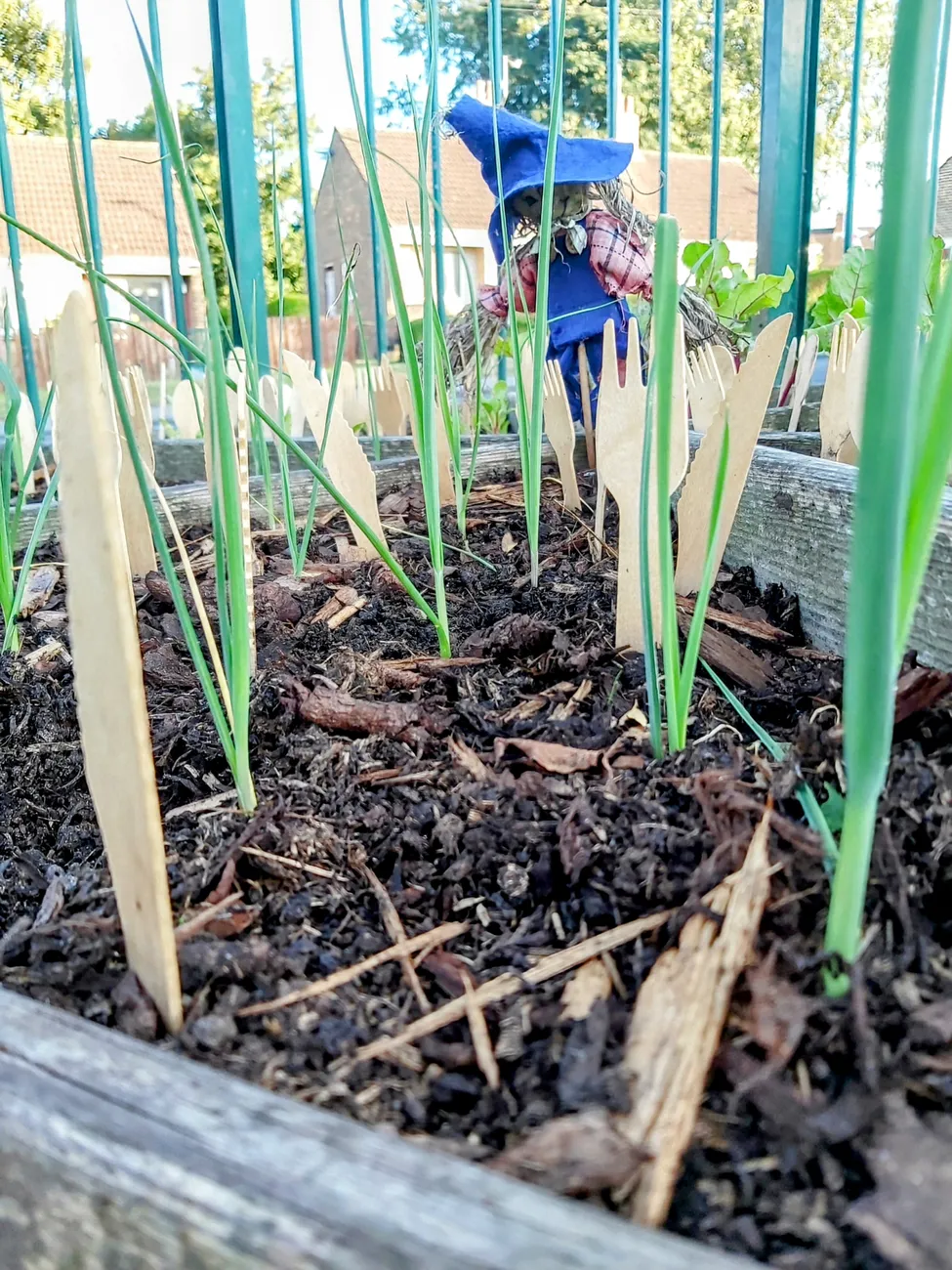 Gallery - created at 2023-09-07 16:46:06 - image 27 Gallery - created at 2023-09-07 16:46:06 - image 27