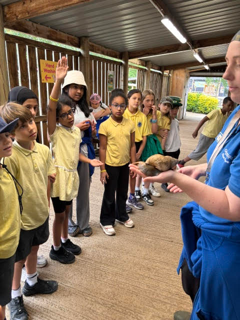 Year 4 visits Godstone Farm!