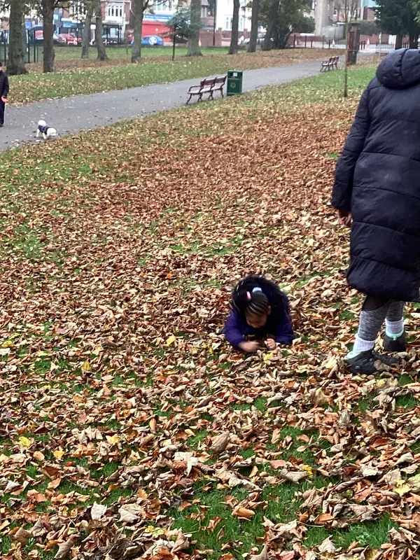 Gallery - created at 2024-11-08 10:10:59 - image 100 Gallery - created at 2024-11-08 10:10:59 - image 100