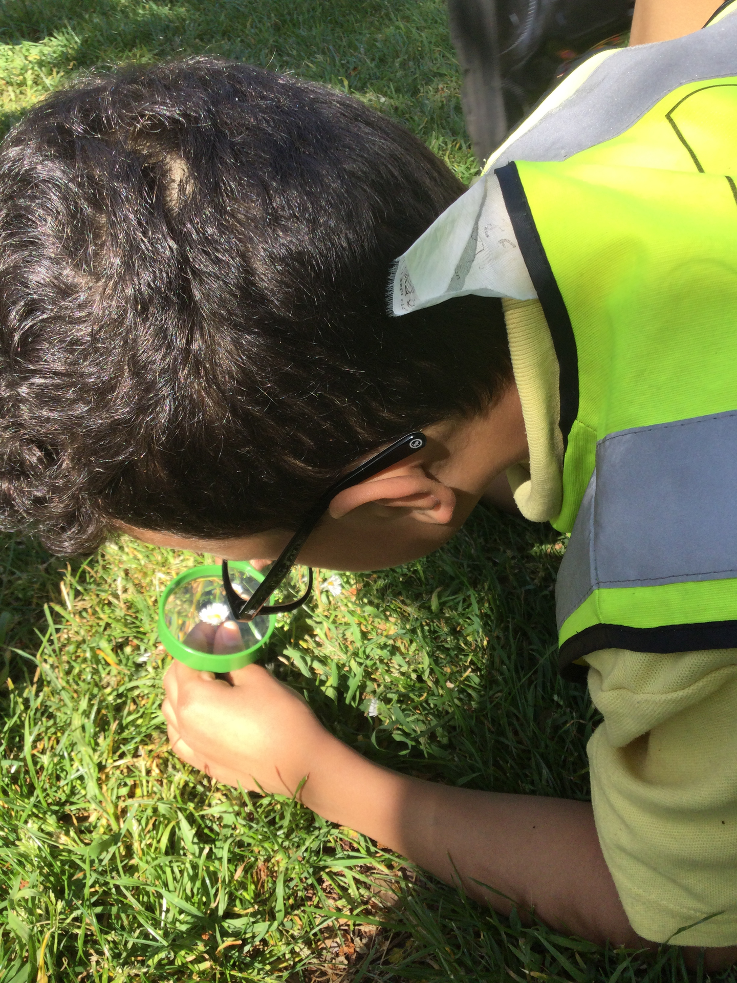 Sunny Science in Hyde Park