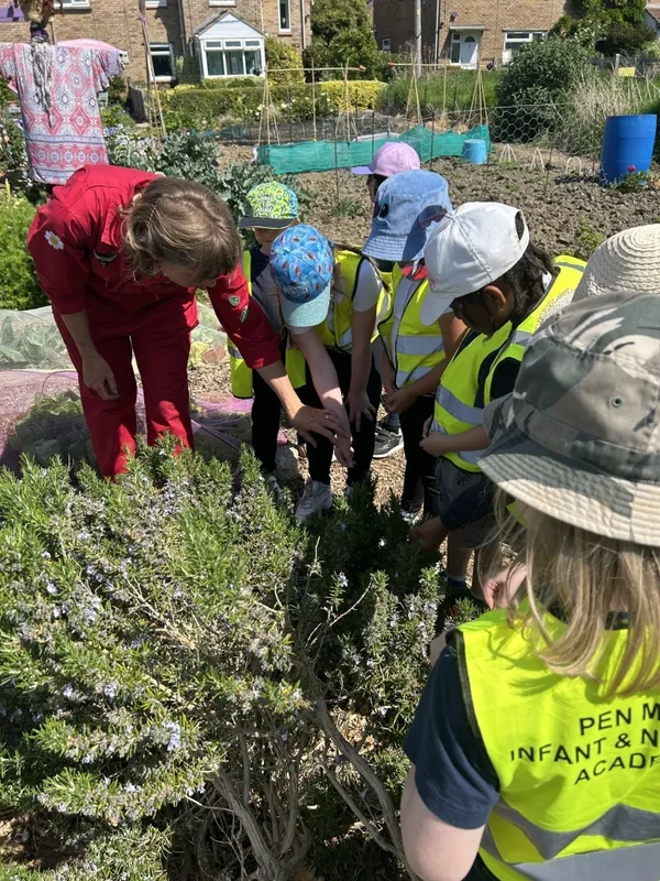 Gallery - created at 2025-11-25 11:17:20 - image 10