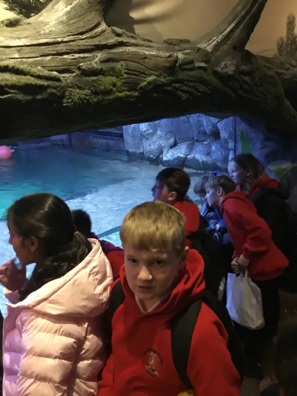 Year 5 Sealife Centre  - image 14