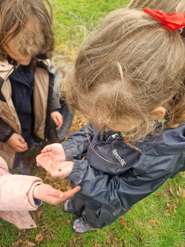 Forest School - image 4