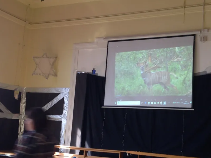 Gallery - created at 2019-04-11 14:23:01 - image 1