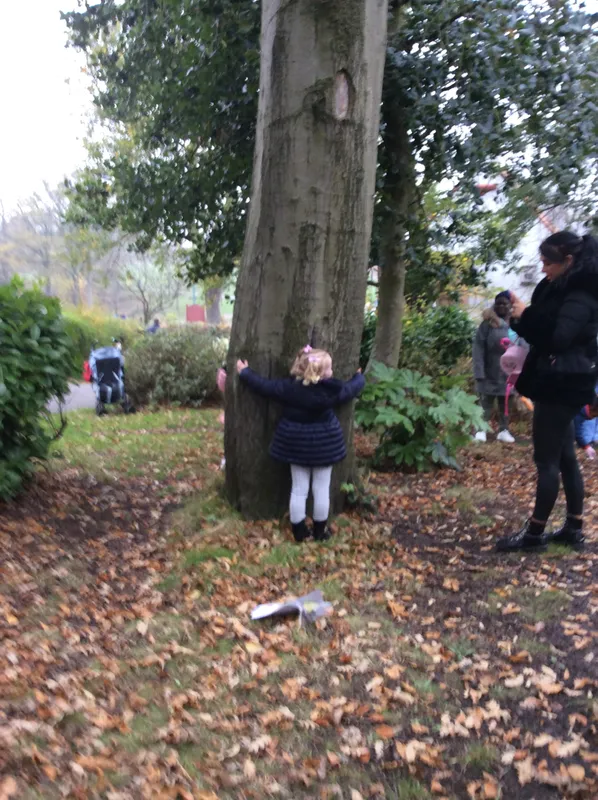 Gallery - created at 2024-11-05 15:27:50 - image 59 Gallery - created at 2024-11-05 15:27:50 - image 59