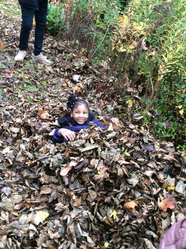 Gallery - created at 2024-11-05 15:27:50 - image 48 Gallery - created at 2024-11-05 15:27:50 - image 48