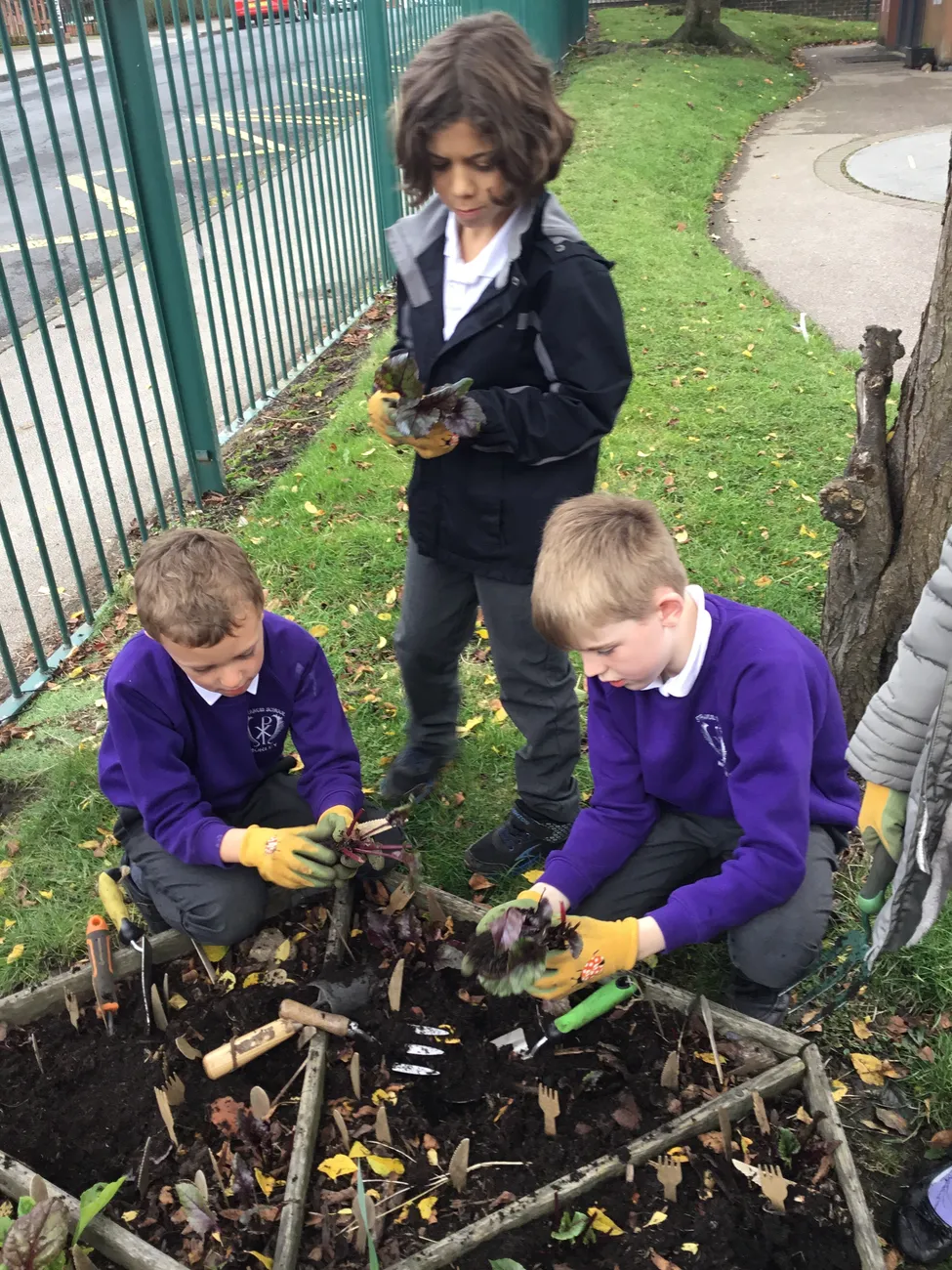 Gallery - created at 2023-09-07 16:46:06 - image 8 Gallery - created at 2023-09-07 16:46:06 - image 8