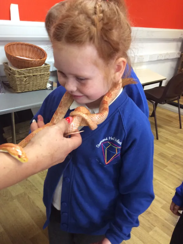 Gallery - created at 2024-03-05 13:52:56 - image 8 Gallery - created at 2024-03-05 13:52:56 - image 8