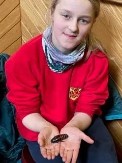 Gallery - created at 2023-03-01 14:01:13 - image 33