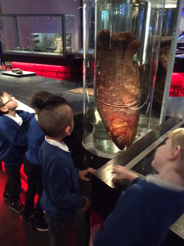 Gallery - created at 2024-02-09 11:53:37 - image 60