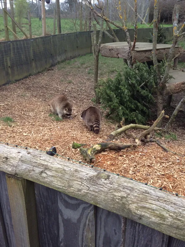 Gallery - created at 2024-02-29 15:51:05 - image 6 Gallery - created at 2024-02-29 15:51:05 - image 6