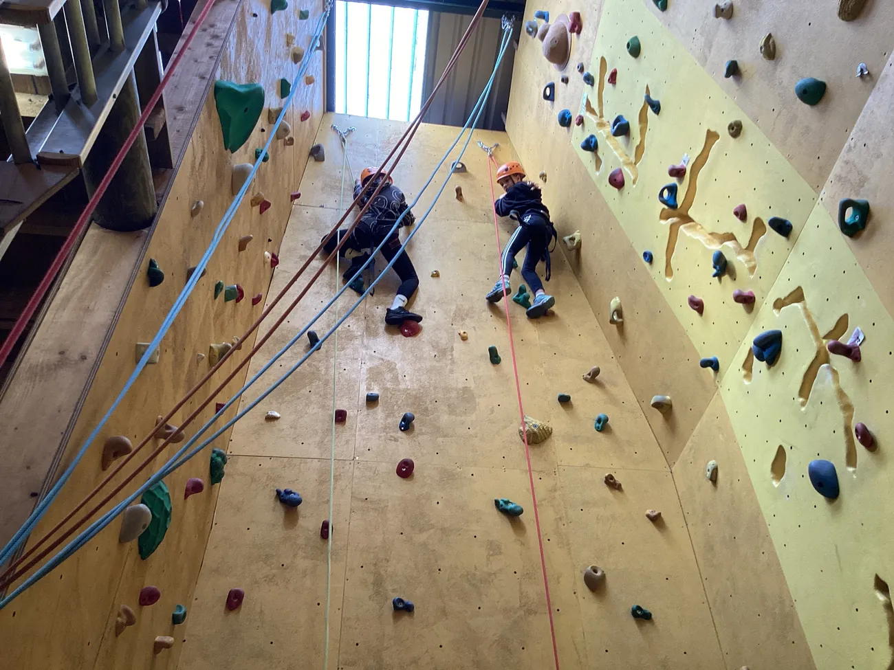 Gallery - created at 2024-09-18 20:08:11 - image 13 Gallery - created at 2024-09-18 20:08:11 - image 13