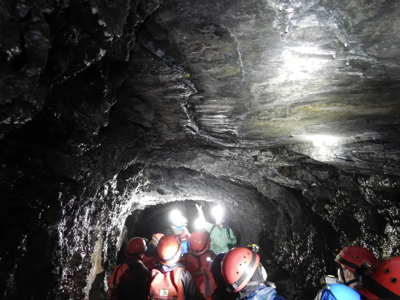 Gallery - created at 2024-02-28 19:37:21 - image 8 Gallery - created at 2024-02-28 19:37:21 - image 8