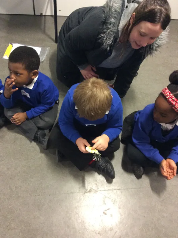 Gallery - created at 2024-02-09 08:14:33 - image 15