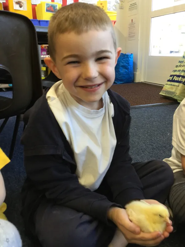 Gallery - created at 2020-02-19 14:54:52 - image 3