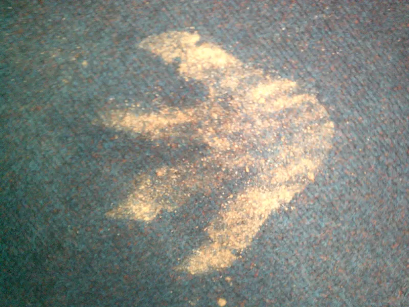 hook day a1 - image 7