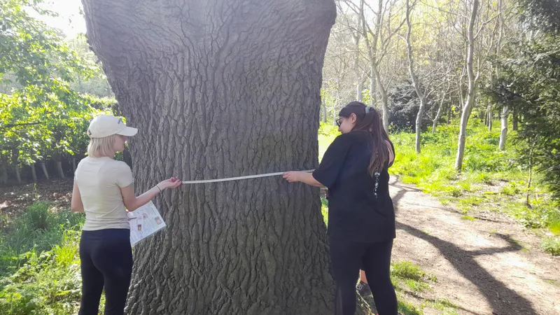 24/25 YWTT Forest Schools Day - image 6