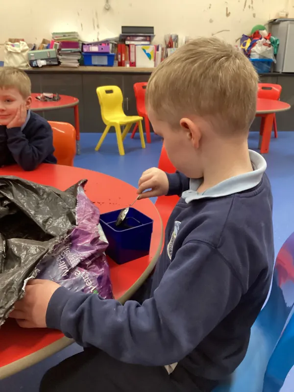 P1 Mrs Johnston's Science Experiment - image 6
