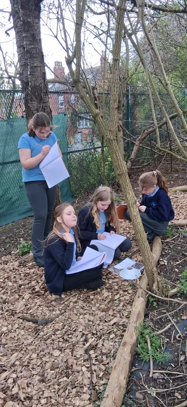 y6 active learning - image 19