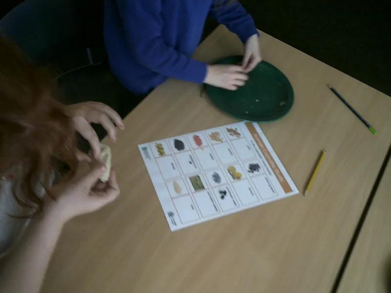 Y4 Roman Archaeology Workshop - image 34