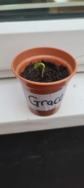 Gallery - created at 2021-03-29 16:05:10 - image 1