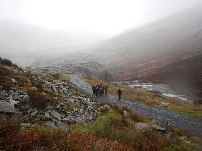 Gallery - created at 2024-02-28 19:37:21 - image 1 Gallery - created at 2024-02-28 19:37:21 - image 1