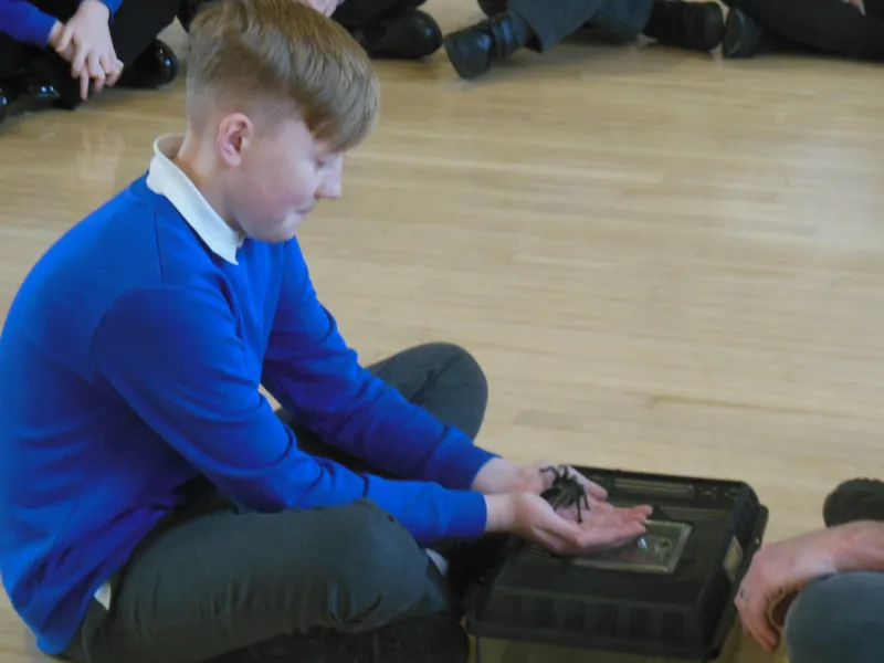 Y6 Reptile Rendezvous - image 8