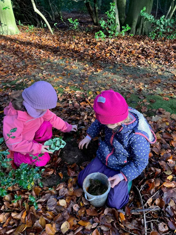 Gallery - created at 2022-11-30 11:57:58 - image 2