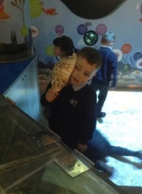 Gallery - created at 2022-12-15 12:37:11 - image 7