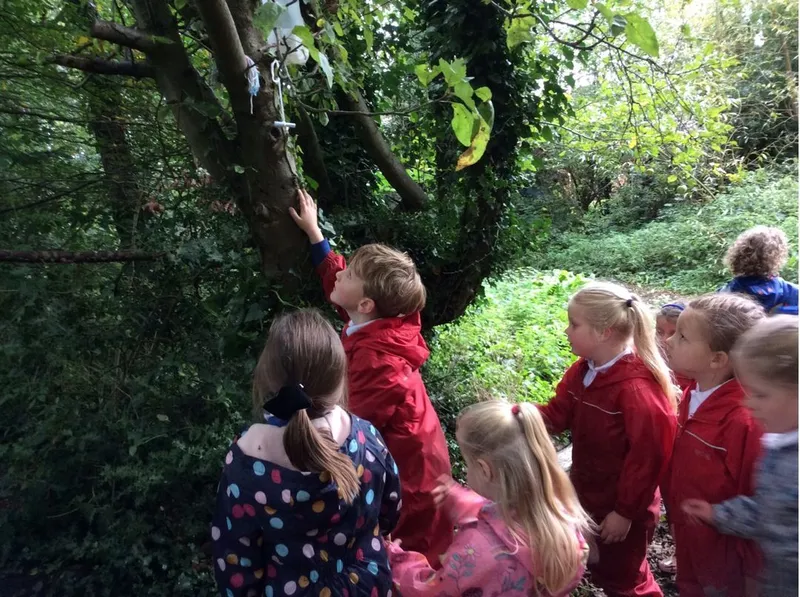 Old Class 1 Forest School - image 35